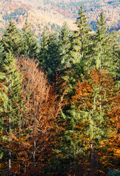 Similar image 20232002