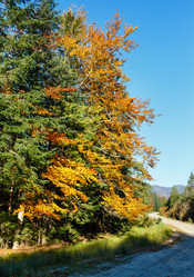 Similar image 20232003