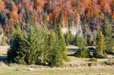 Similar image 20232005