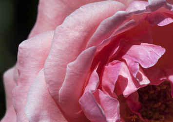 Similar image 20225819