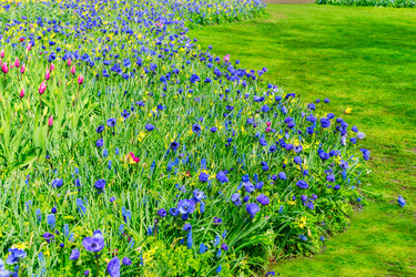 Similar image 20298665