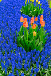 Similar image 20298970