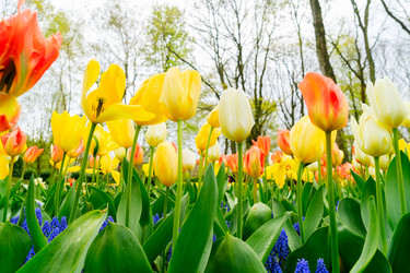 Similar image 20298971