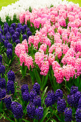 Similar image 20299047