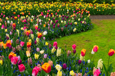 Similar image 20299144