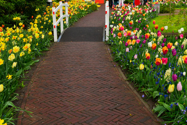 Similar image 20299229