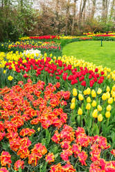 Similar image 20298728