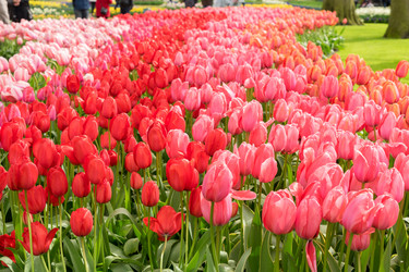 Similar image 20298987