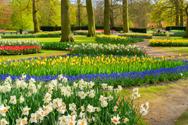 Similar image 20298988