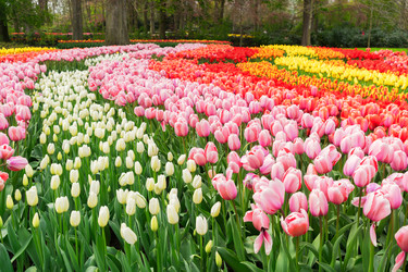 Similar image 20299016