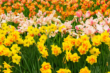 Similar image 20299017