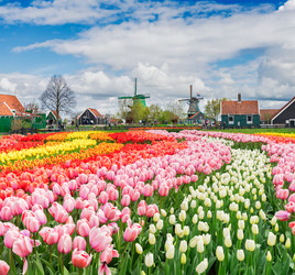 Similar image 20299209