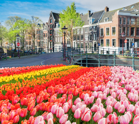 Similar image 20299230