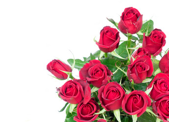 Similar image 20299057