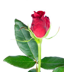 Similar image 20299365