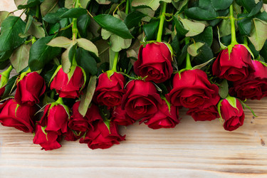 Similar image 20298548