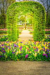 Similar image 20298989