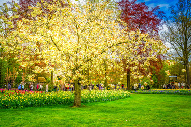 Similar image 20298460