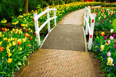 Similar image 20298551