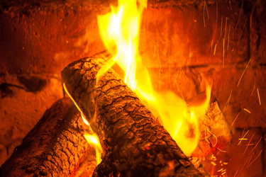 Similar image 20266324