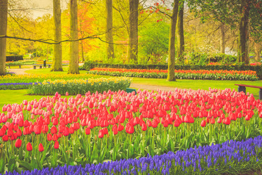 Similar image 20298349