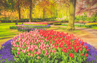 Similar image 20298350