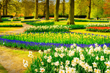 Similar image 20298502