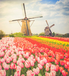 Similar image 20298552