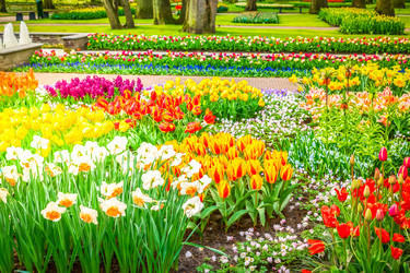 Similar image 20298821