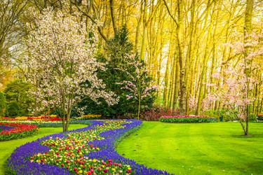 Similar image 20298886