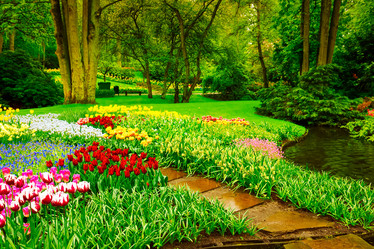 Similar image 20299170