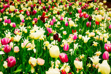 Similar image 20299179