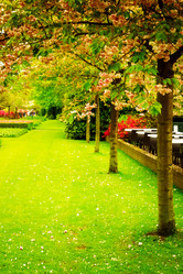 Similar image 20299309