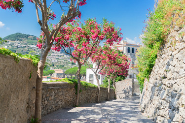 Similar image 20298891