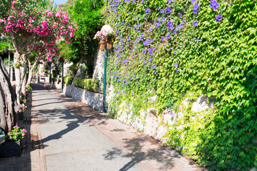 Similar image 20299416