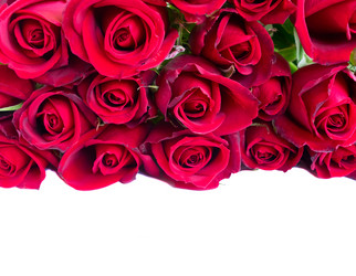 Similar image 20298632