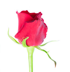 Similar image 20298822