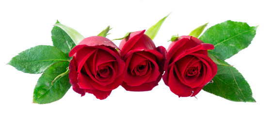 Similar image 20298824