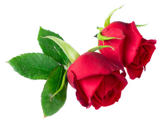 Similar image 20298854