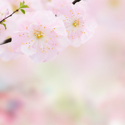 Similar image 20298873