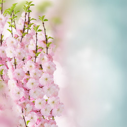 Similar image 20298892