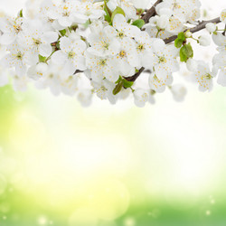 Similar image 20298897