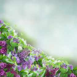 Similar image 20298905