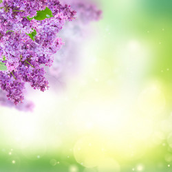 Similar image 20298953