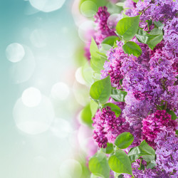 Similar image 20298954