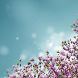 Similar image 20298974