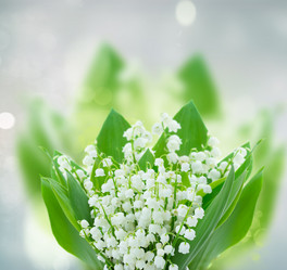 Similar image 20299232