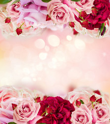 Similar image 20298466