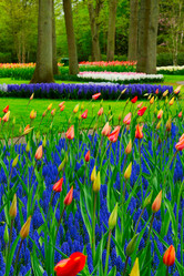 Similar image 20299314