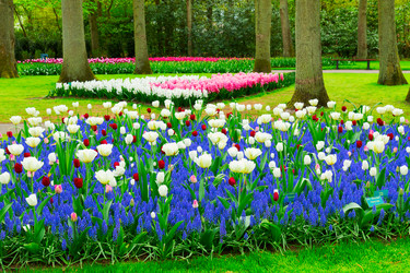 Similar image 20299315